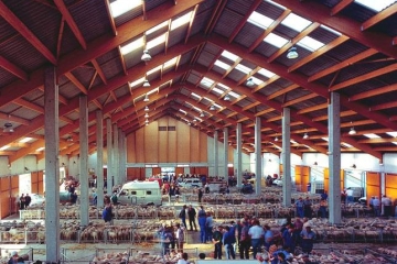 Marché couvert - Saugues (43)